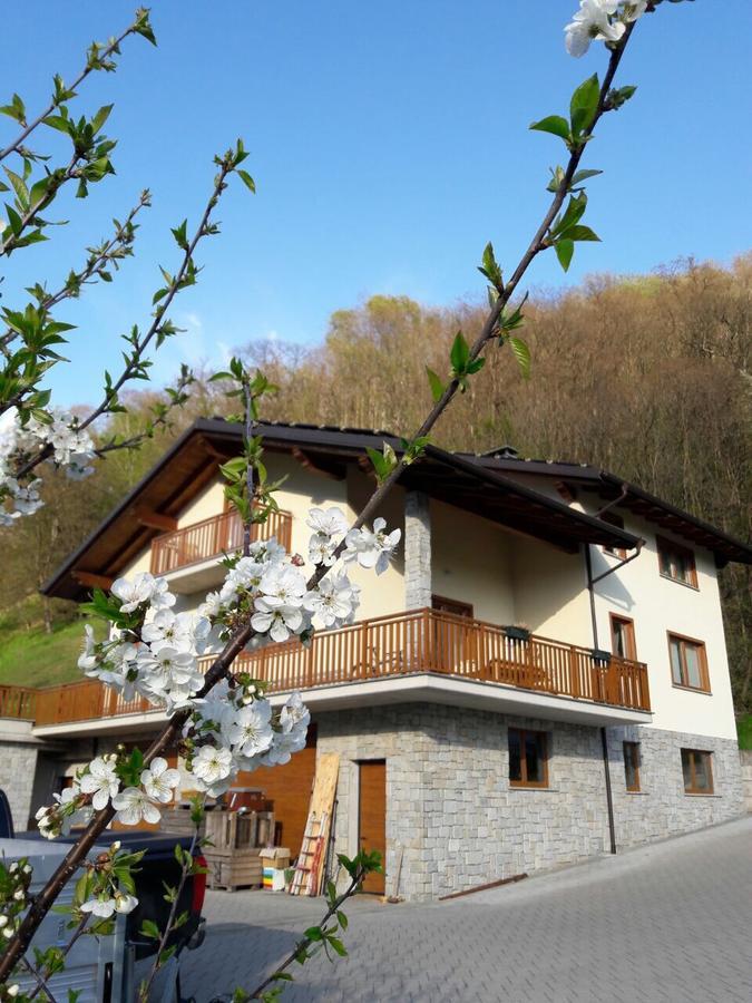 Mortirolo Bed & Breakfast Mazzo di Valtellina Dış mekan fotoğraf